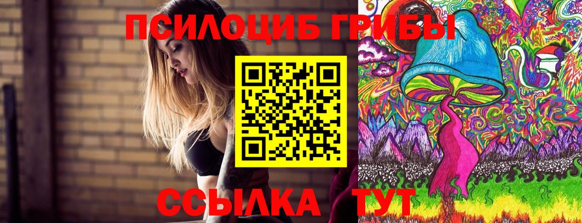 Владикавказ  купить наркотики цена  Вход с VPN  Галлюциногенные грибы мицелий 